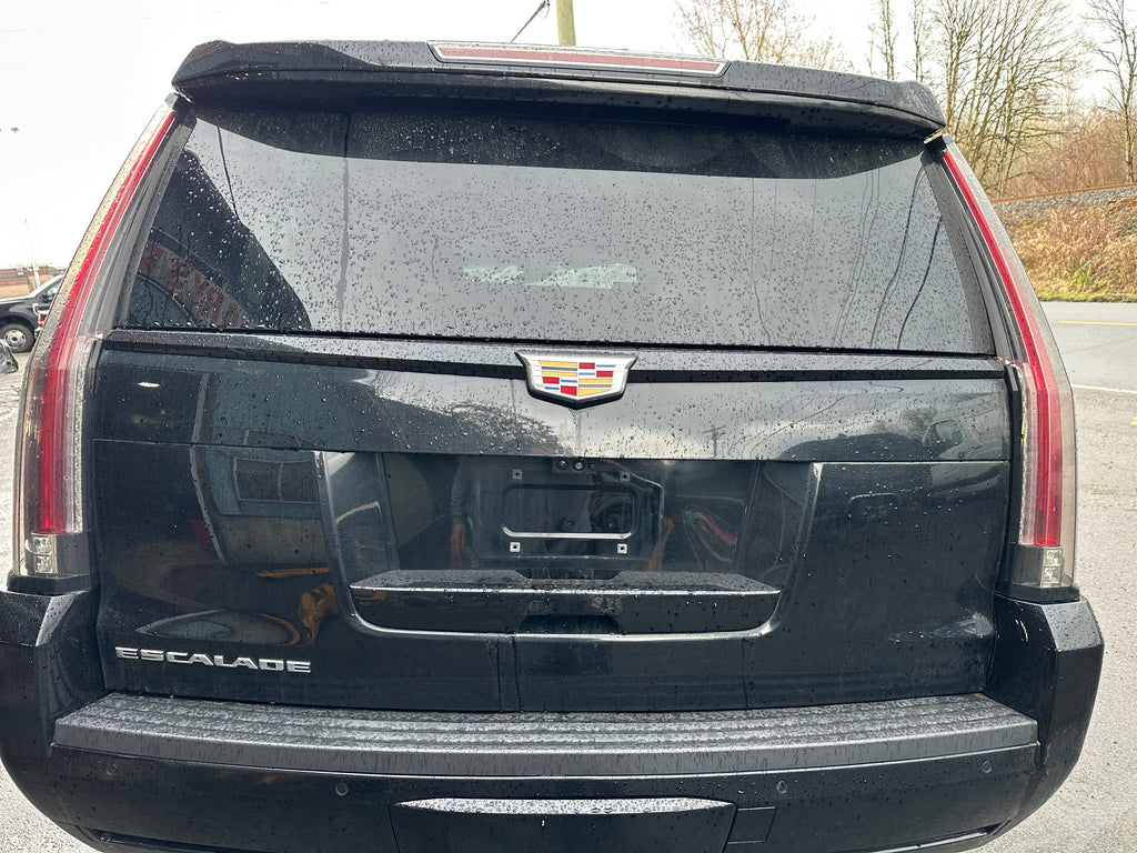 2019 Cadillac Escalade 6.2 – CA2501