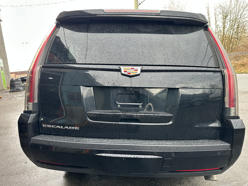 2019 Cadillac Escalade 6.2 – CA2501