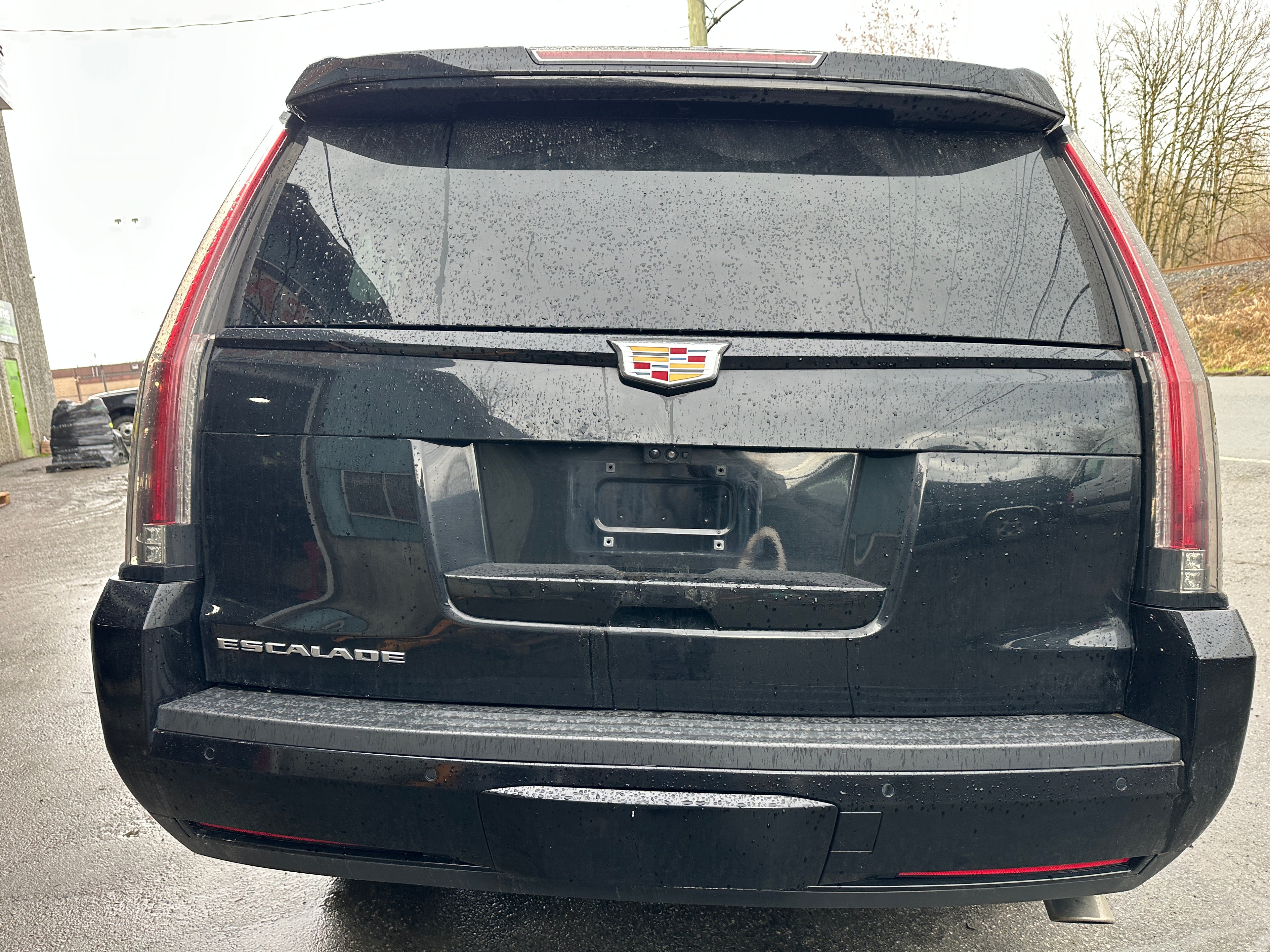 2019 Cadillac Escalade 6.2 – CA2501