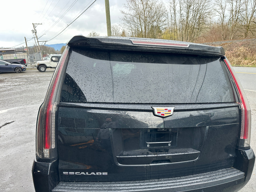 2019 Cadillac Escalade 6.2 – CA2501