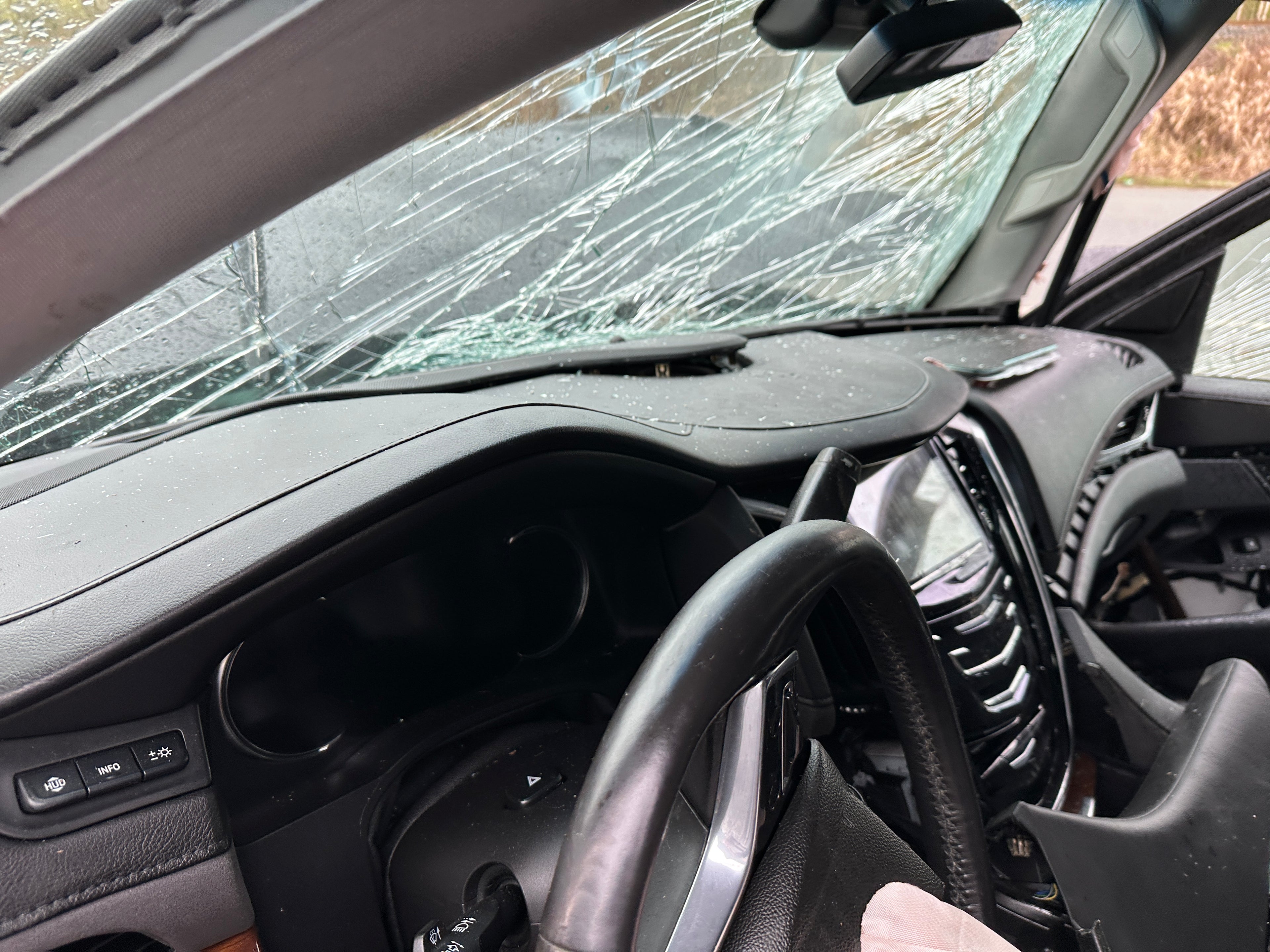 2019 Cadillac Escalade 6.2 – CA2501