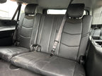 2019 Cadillac Escalade 6.2 – CA2501