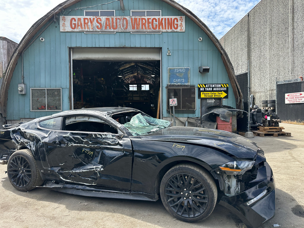 2019 Ford Mustang GT 5.0 – F2509