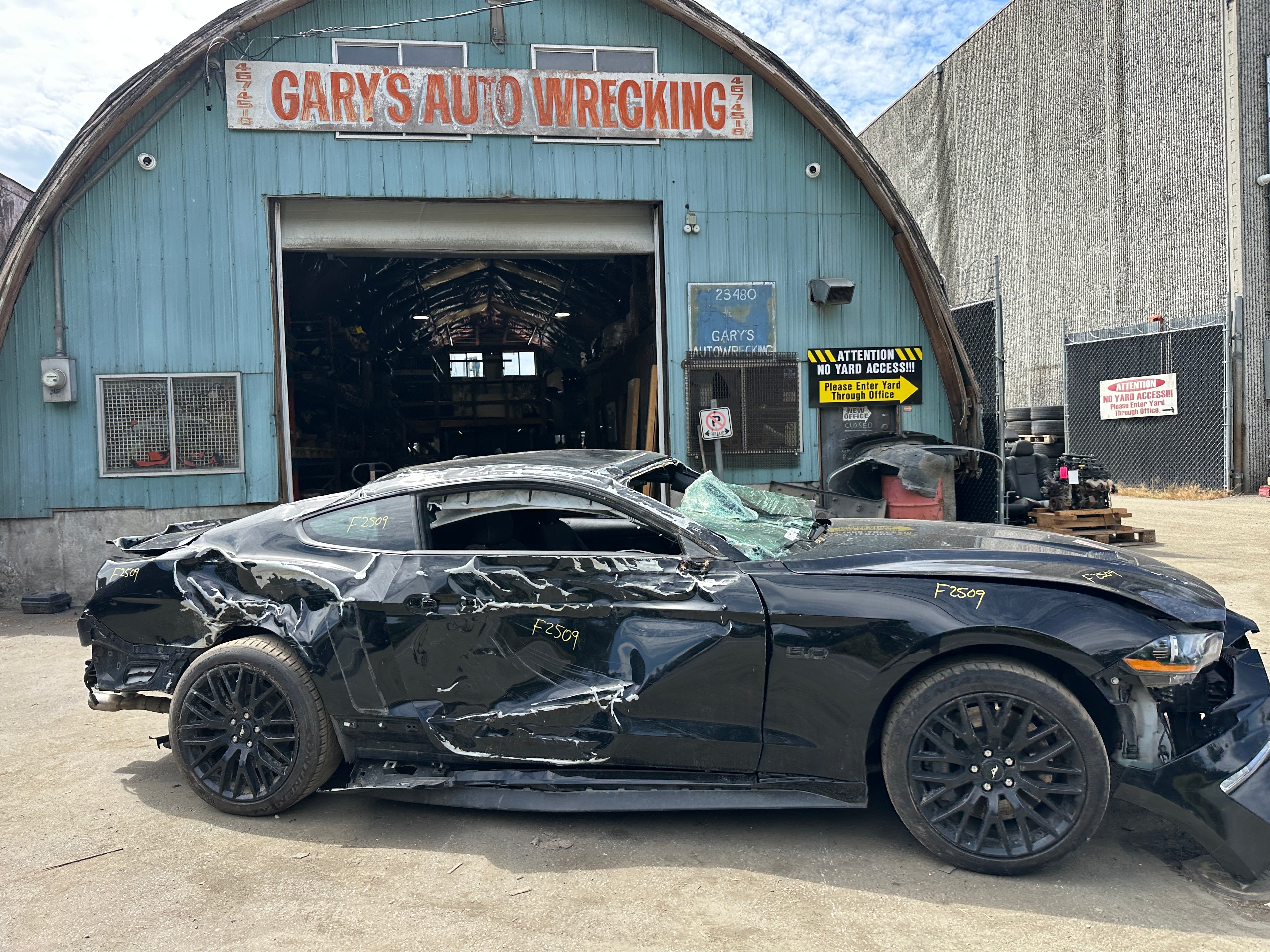 2019 Ford Mustang GT 5.0 – F2509