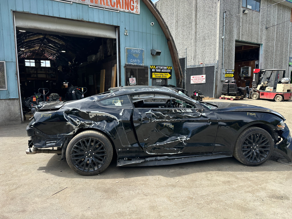 2019 Ford Mustang GT 5.0 – F2509