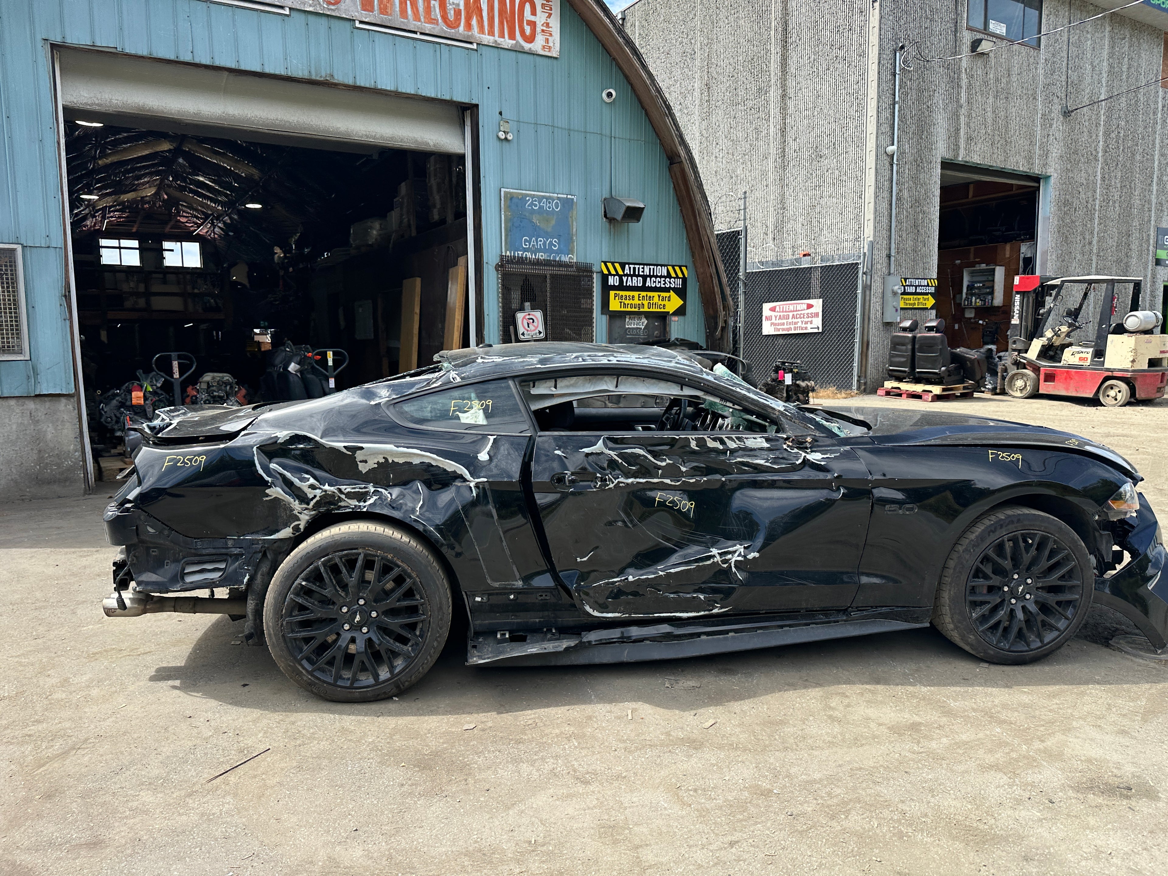 2019 Ford Mustang GT 5.0 – F2509