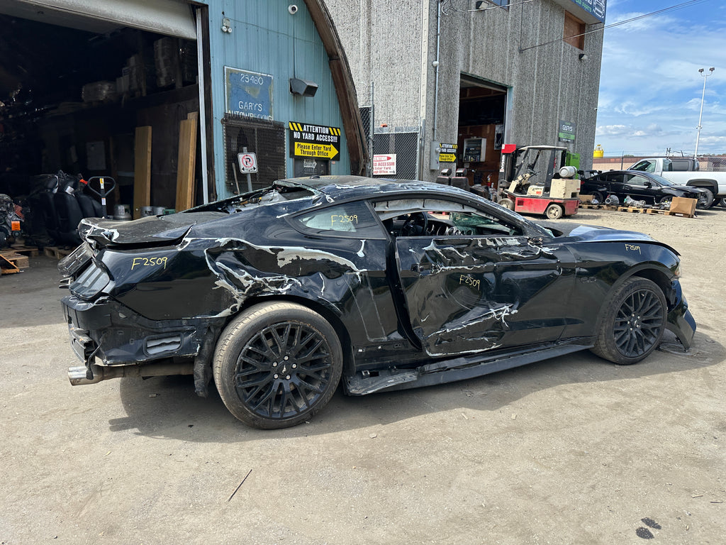 2019 Ford Mustang GT 5.0 – F2509