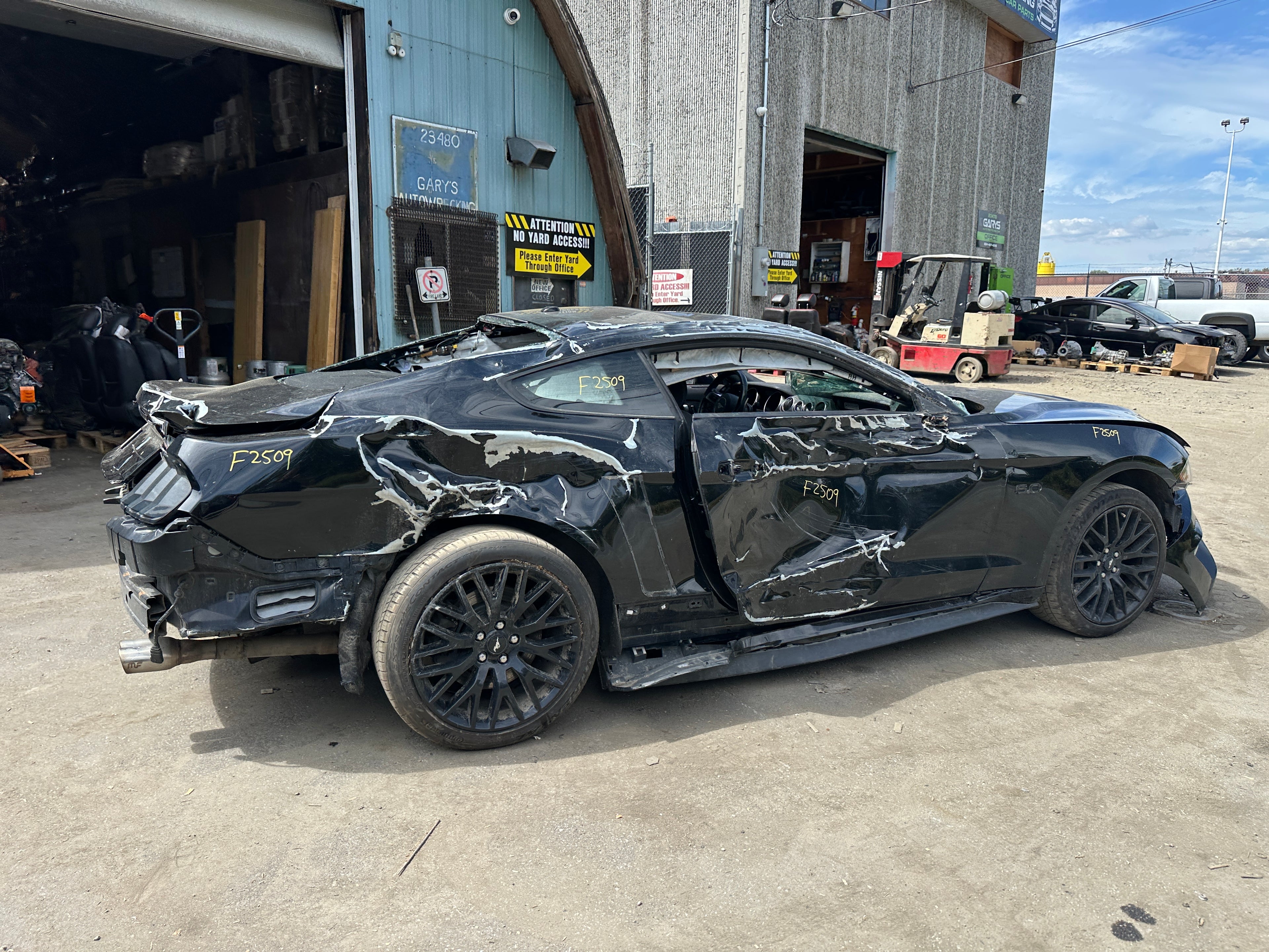 2019 Ford Mustang GT 5.0 – F2509