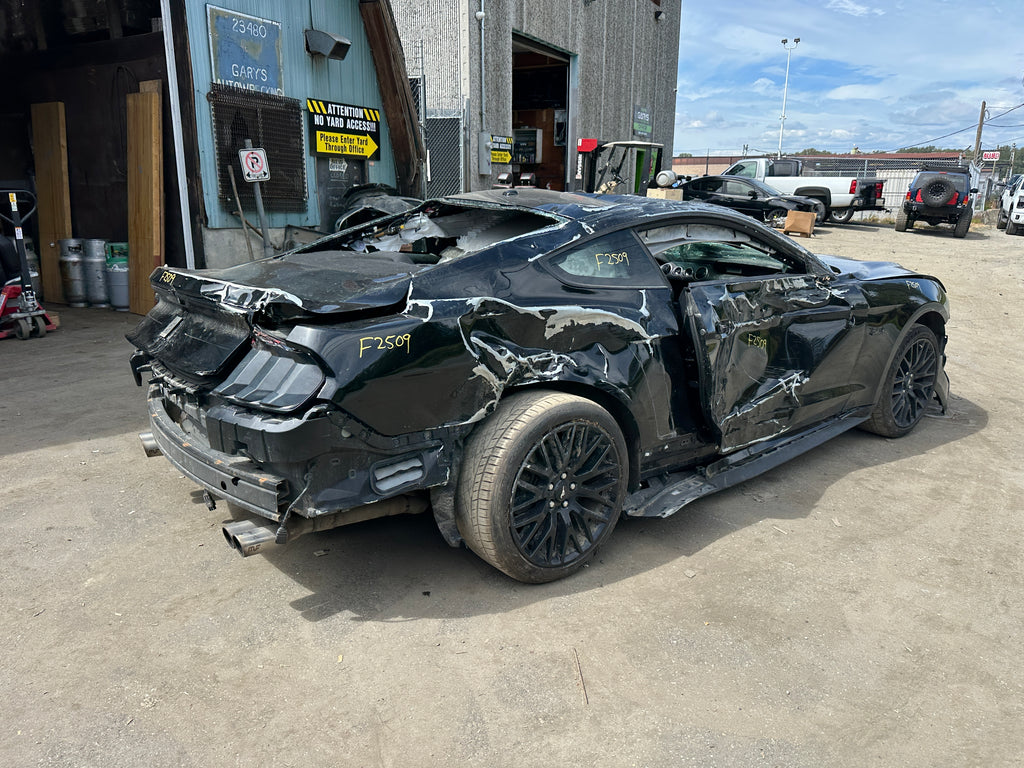 2019 Ford Mustang GT 5.0 – F2509