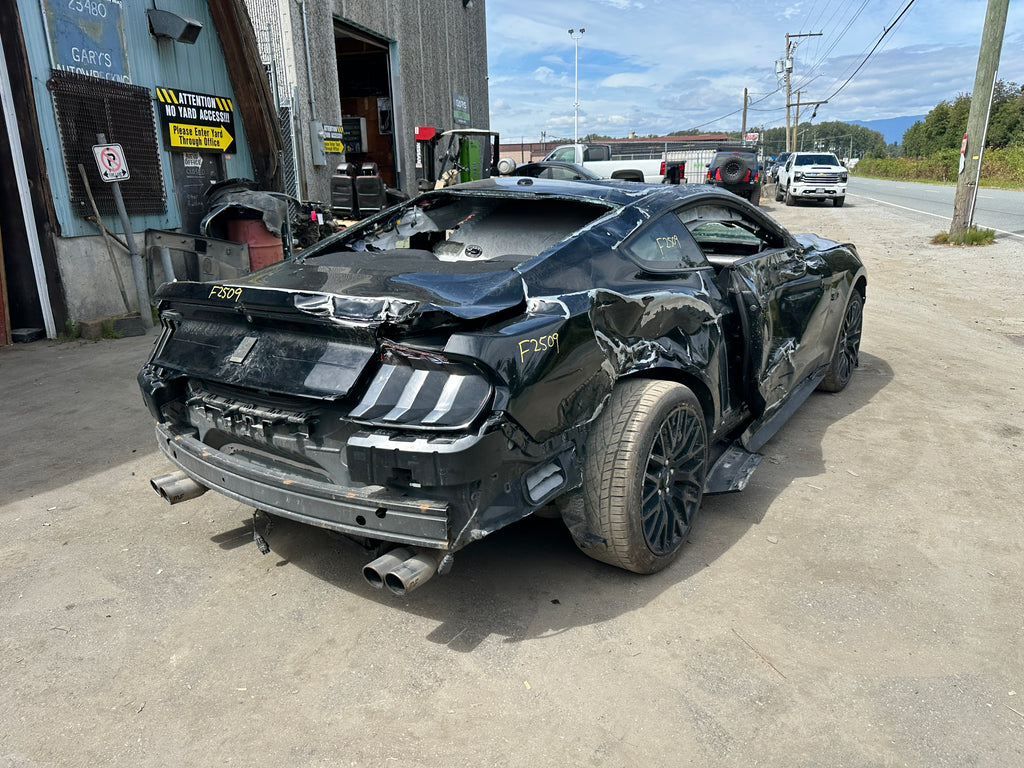 2019 Ford Mustang GT 5.0 – F2509