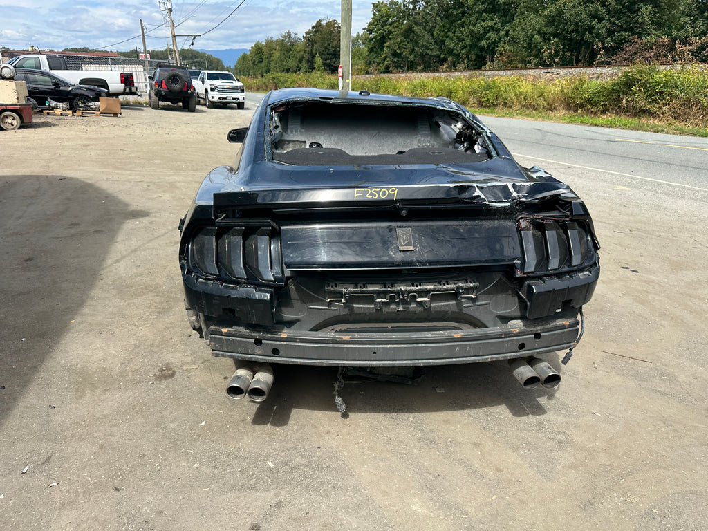 2019 Ford Mustang GT 5.0 – F2509