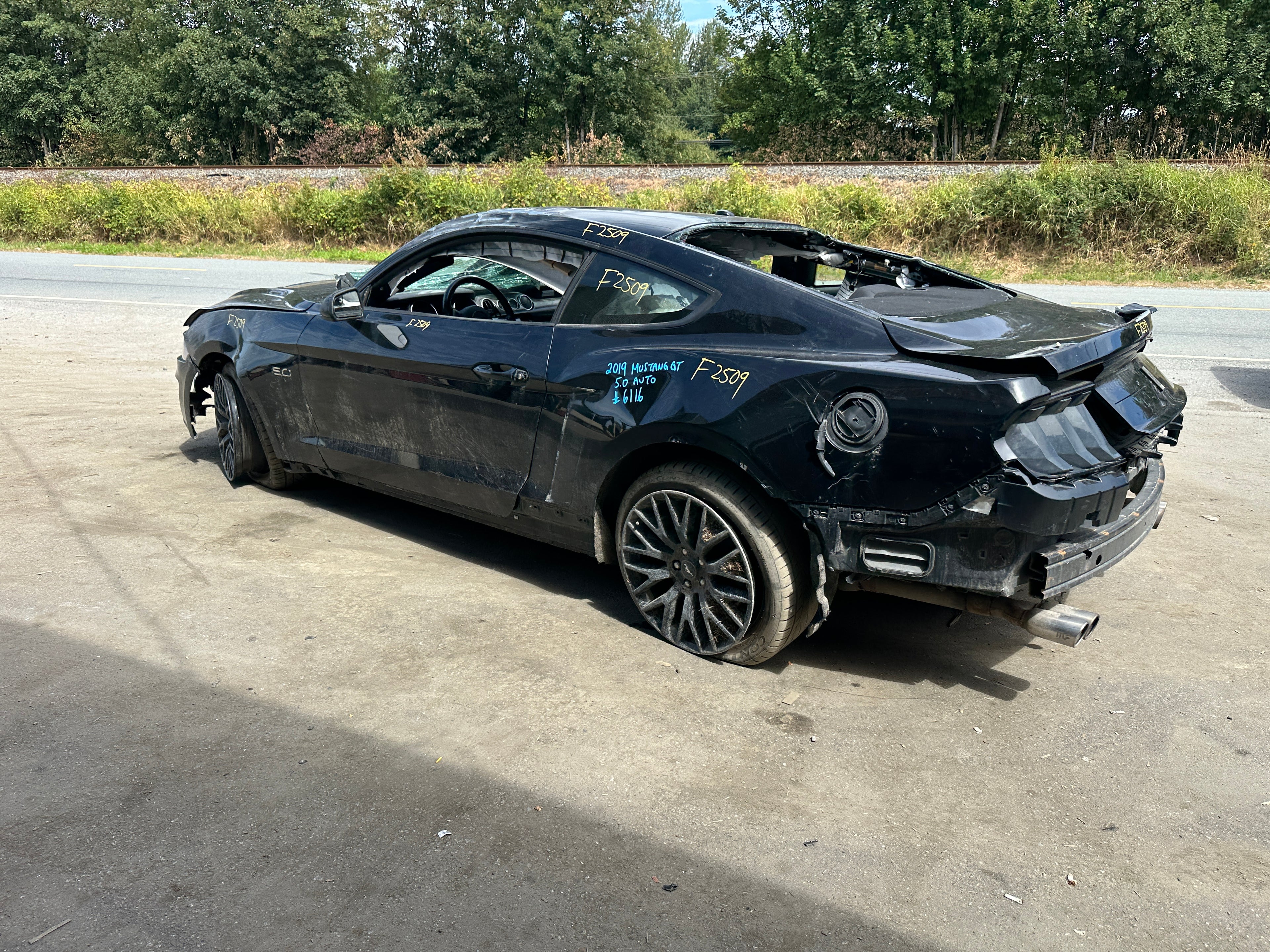 2019 Ford Mustang GT 5.0 – F2509