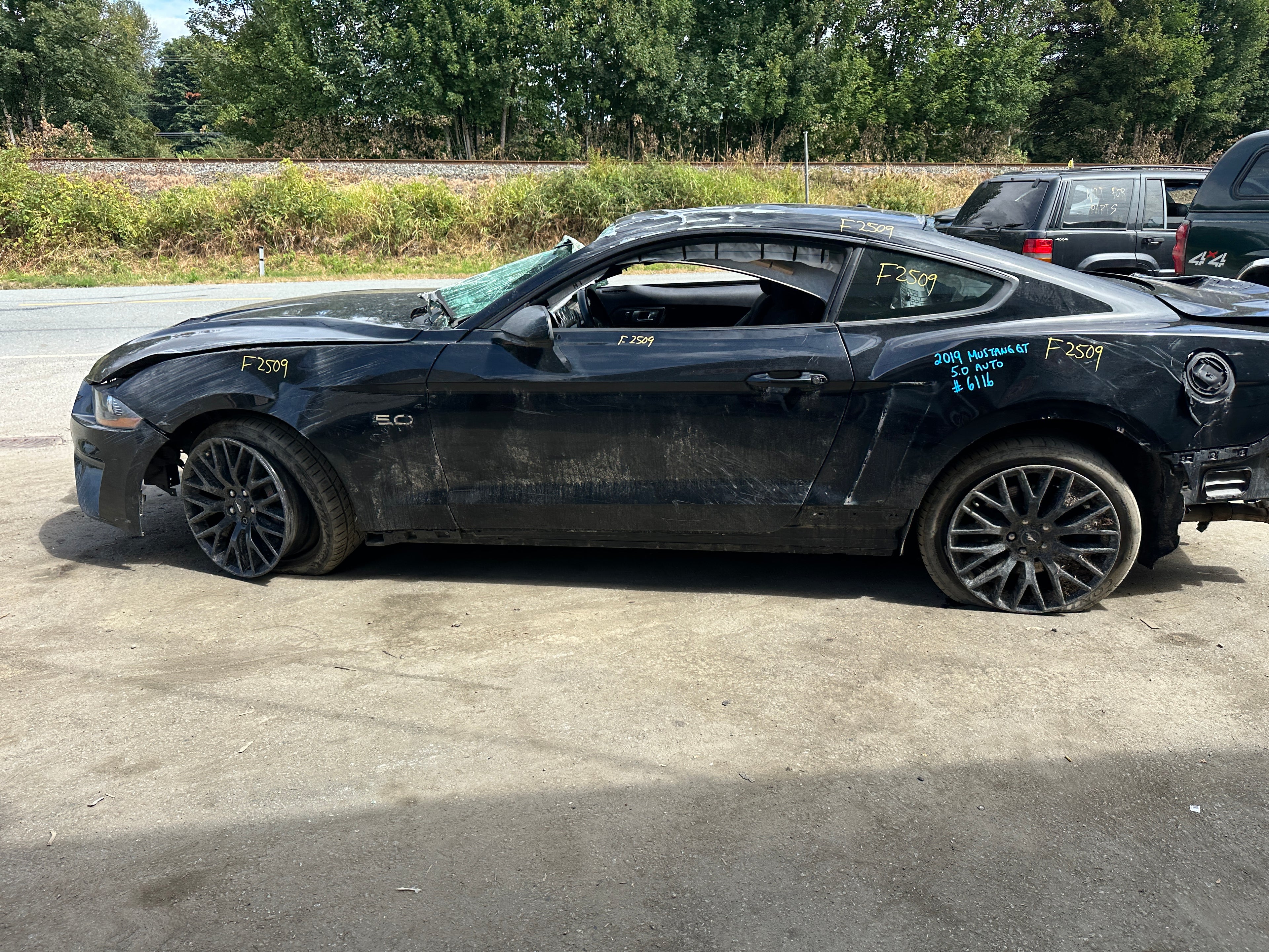 2019 Ford Mustang GT 5.0 – F2509