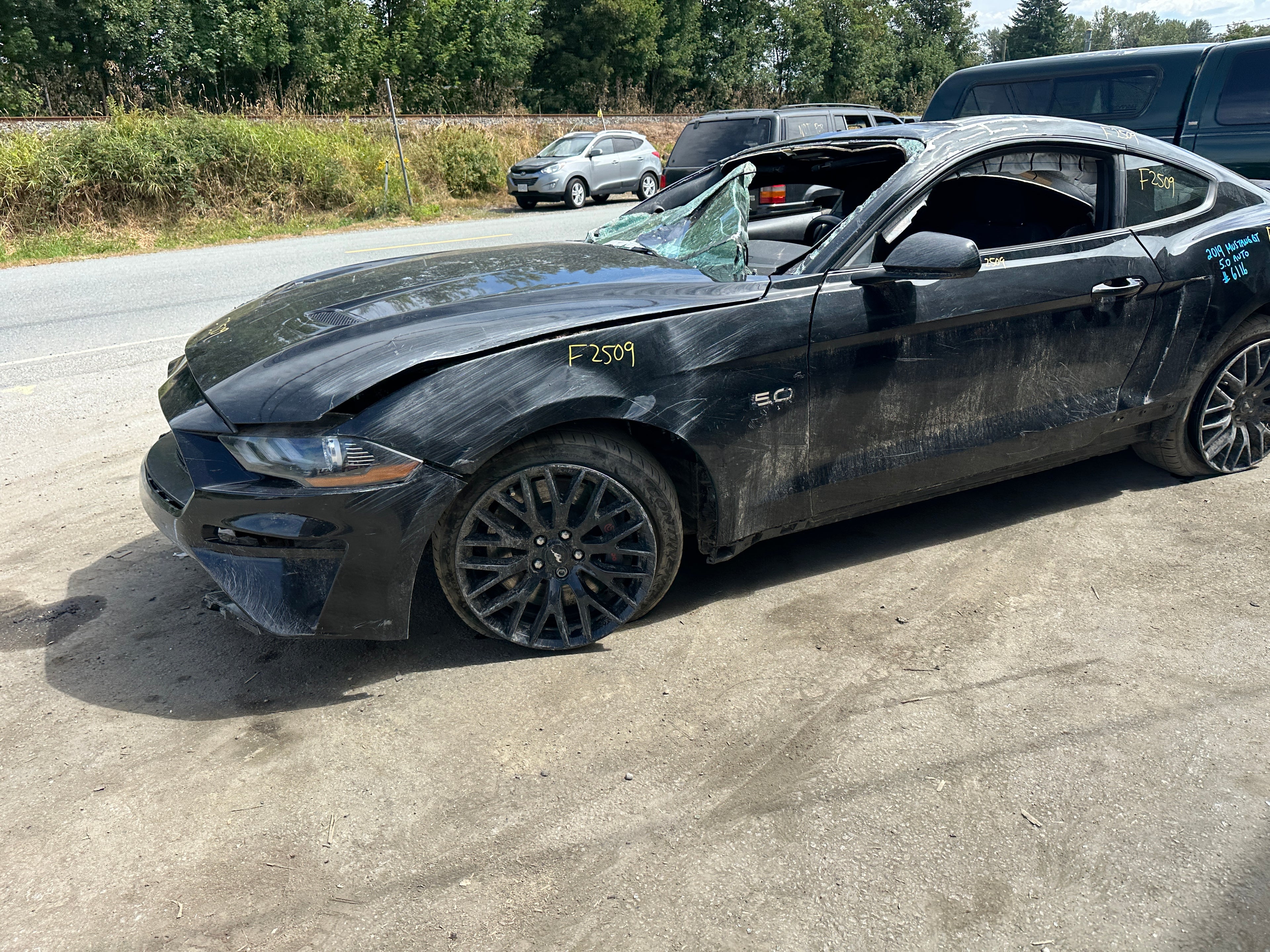 2019 Ford Mustang GT 5.0 – F2509