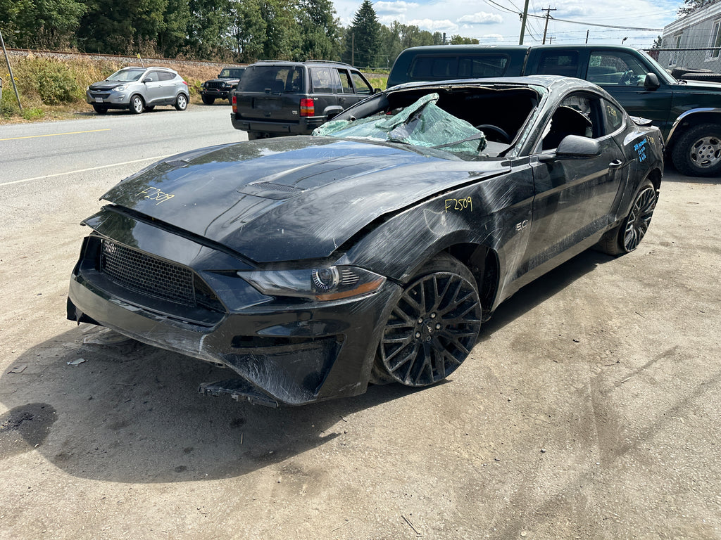 2019 Ford Mustang GT 5.0 – F2509