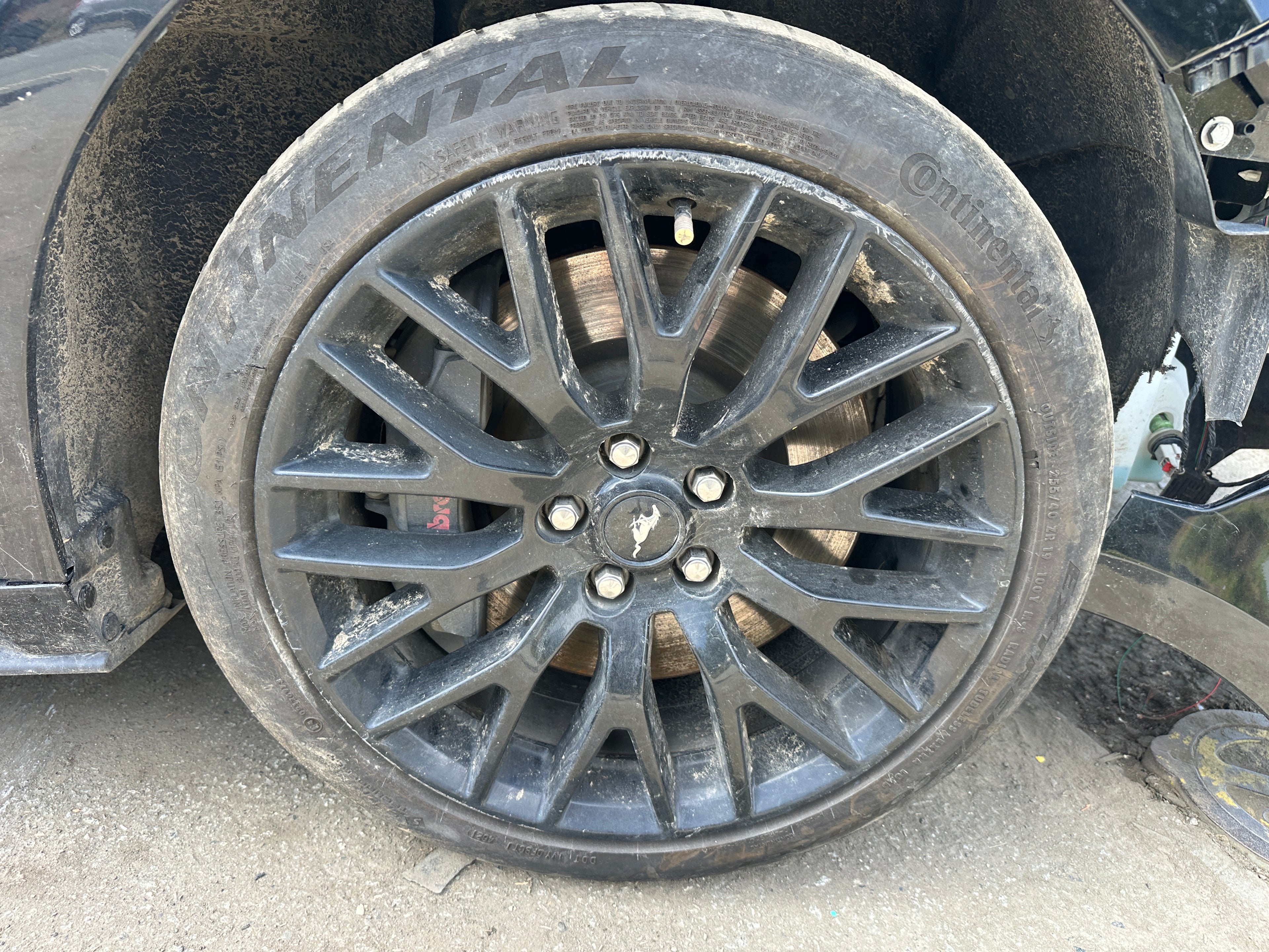 2019 Ford Mustang GT 5.0 – F2509