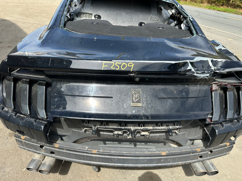 2019 Ford Mustang GT 5.0 – F2509