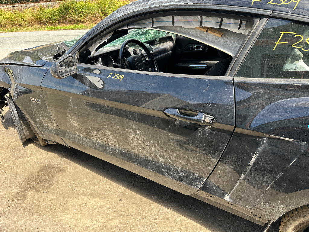 2019 Ford Mustang GT 5.0 – F2509