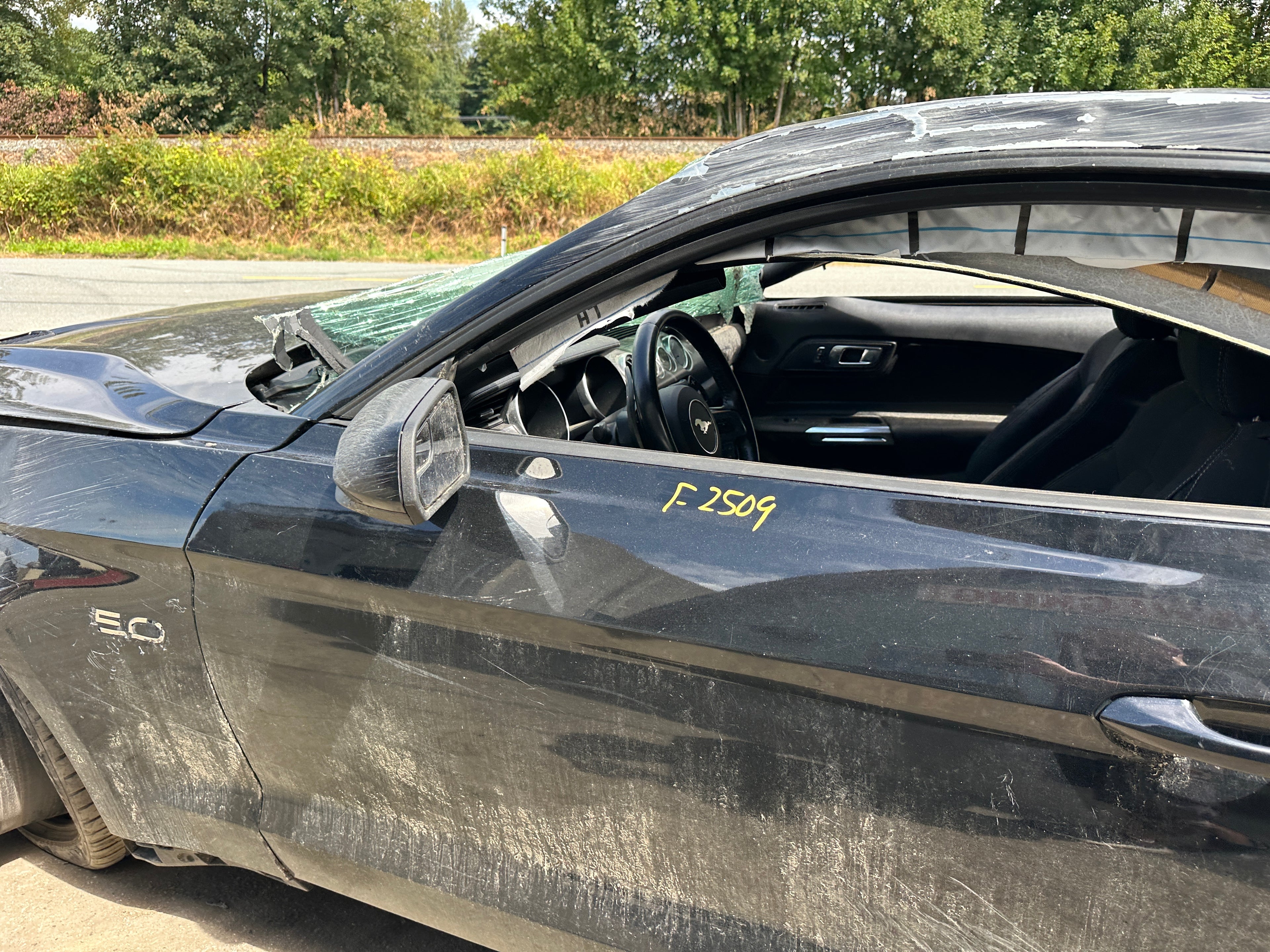 2019 Ford Mustang GT 5.0 – F2509