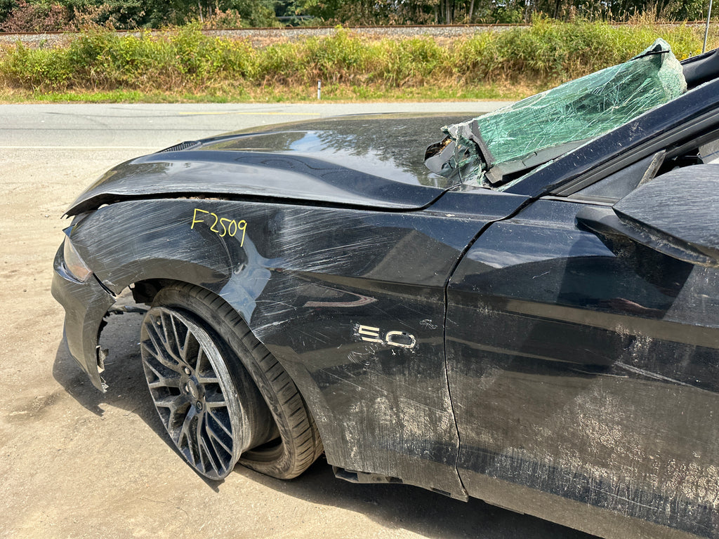 2019 Ford Mustang GT 5.0 – F2509