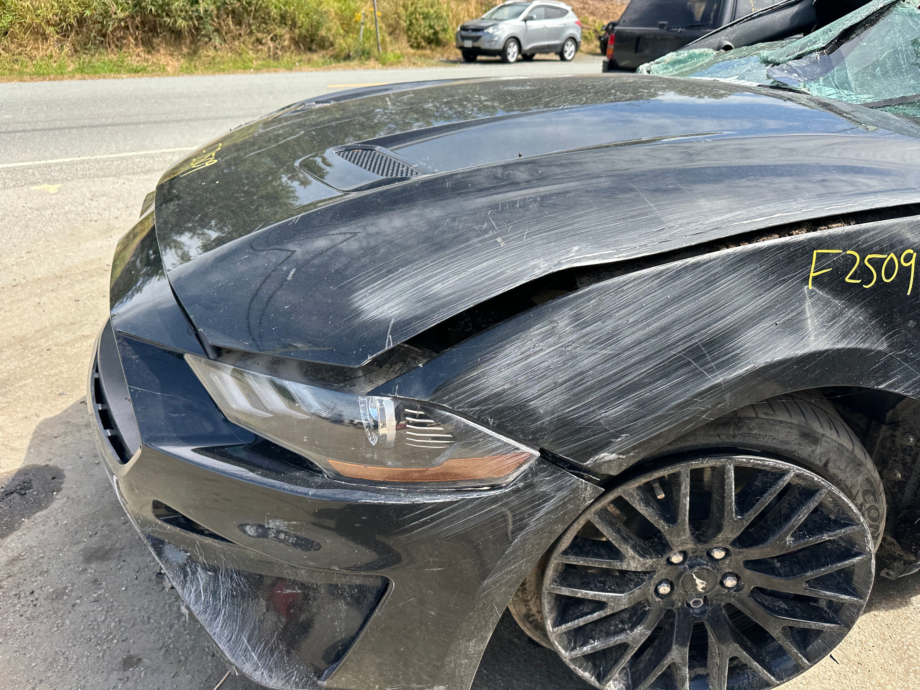 2019 Ford Mustang GT 5.0 – F2509