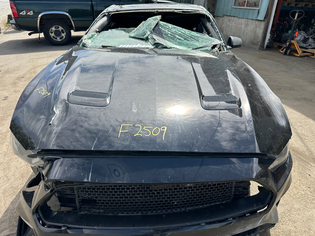 2019 Ford Mustang GT 5.0 – F2509