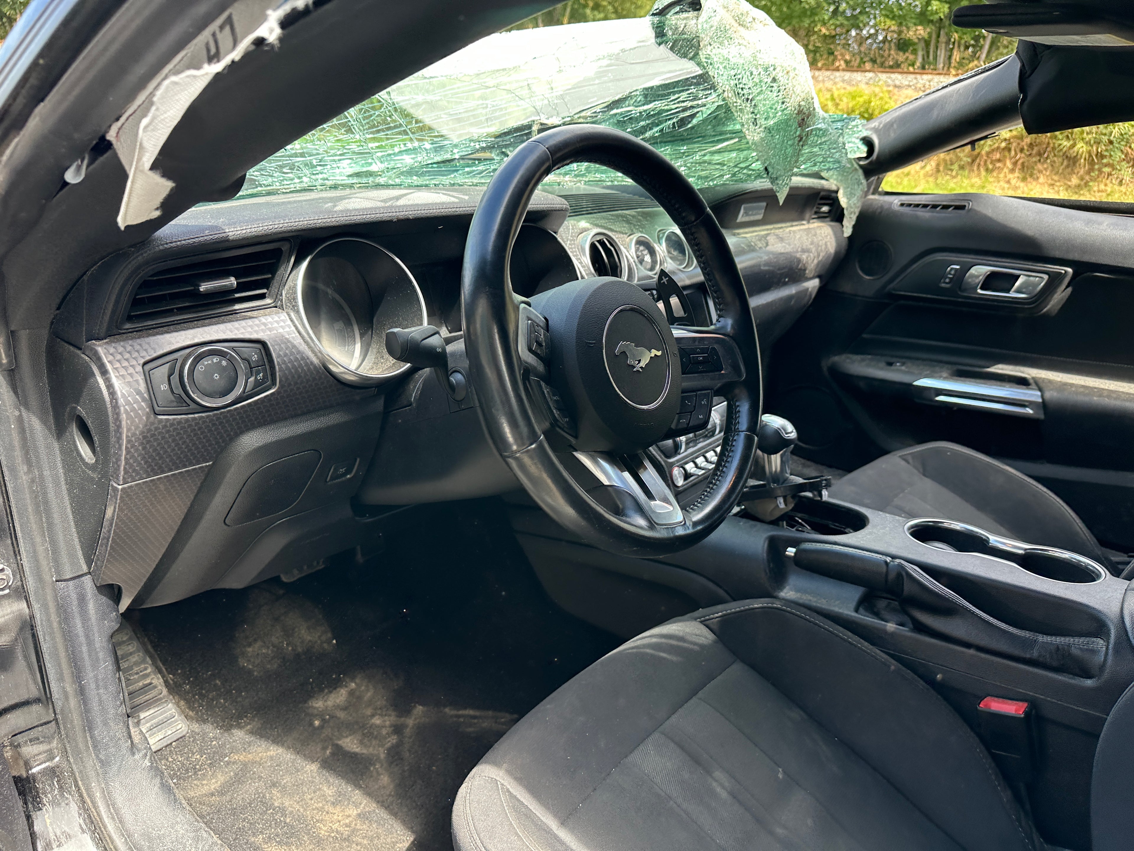 2019 Ford Mustang GT 5.0 – F2509