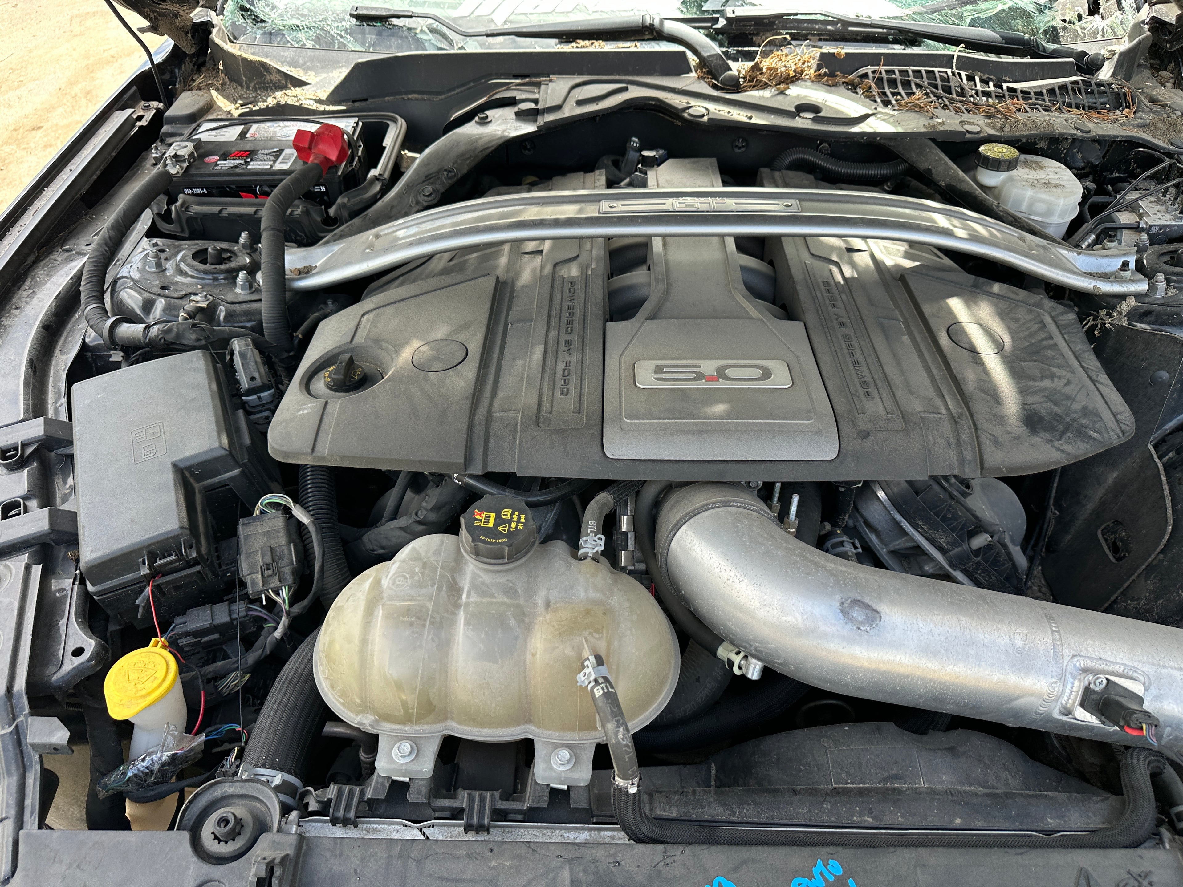 2019 Ford Mustang GT 5.0 – F2509