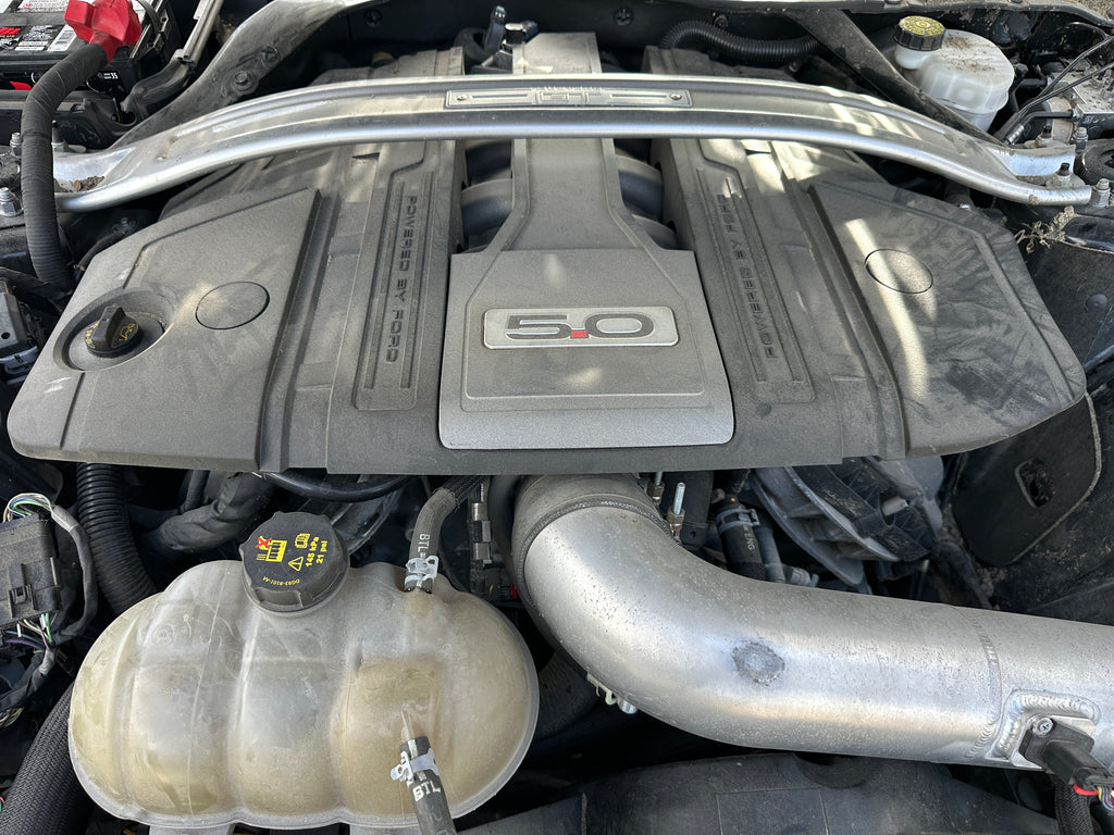 2019 Ford Mustang GT 5.0 – F2509
