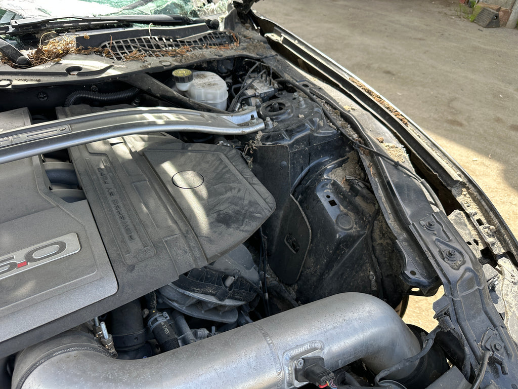 2019 Ford Mustang GT 5.0 – F2509