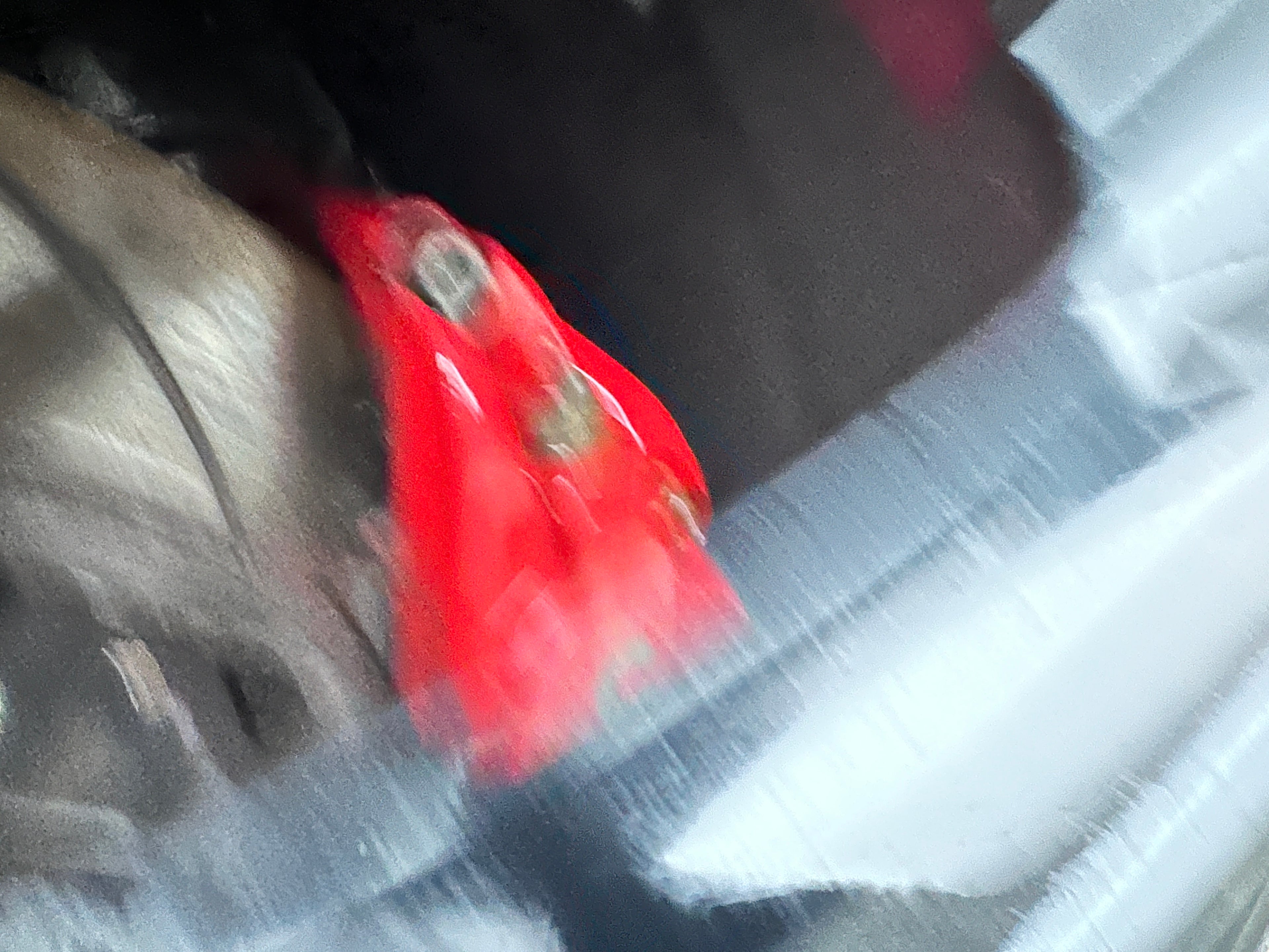 2011 Ford Mustang GT 5.0 – F2515