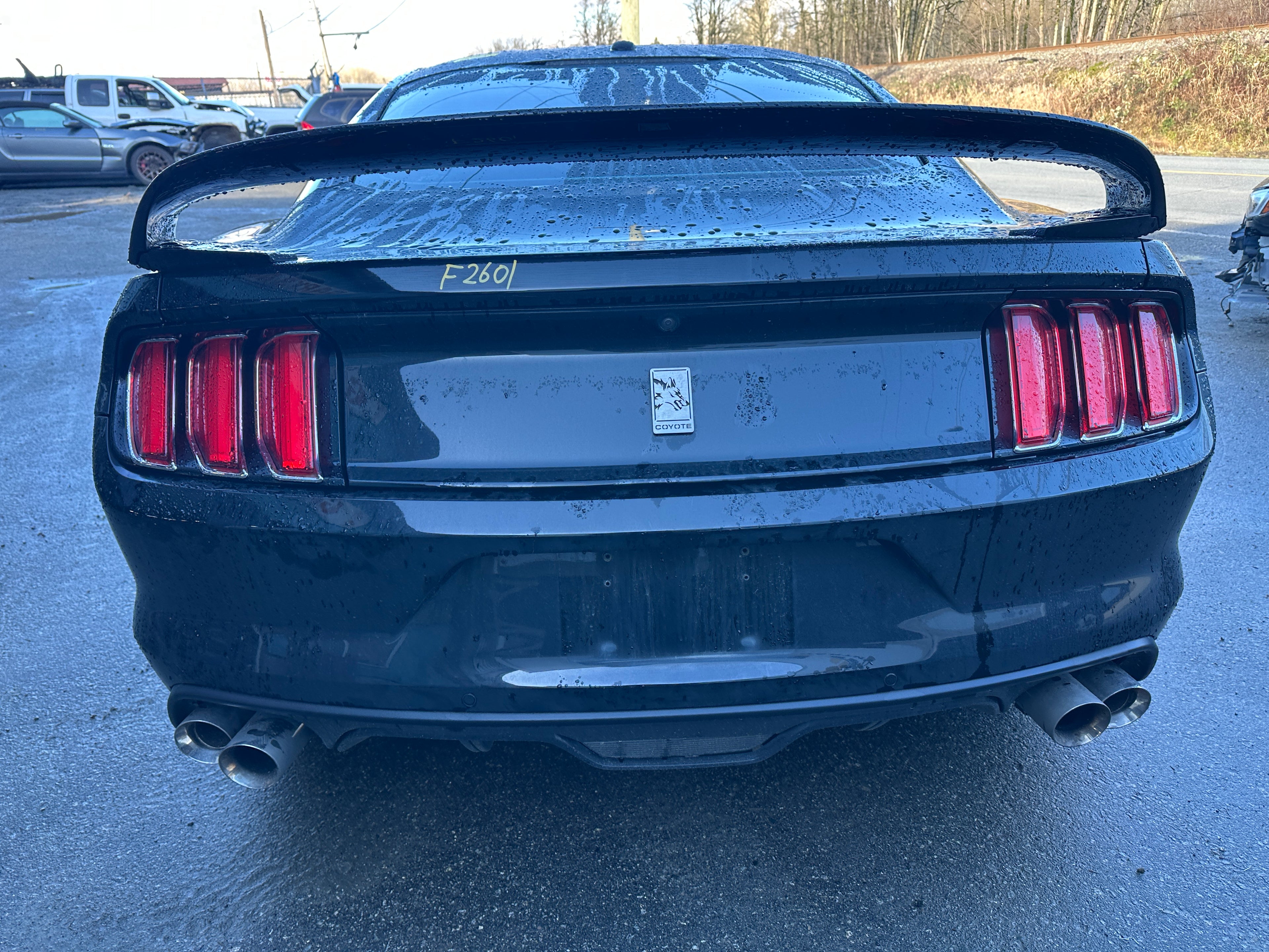 2015 Ford Mustang GT 5.0 – F2601